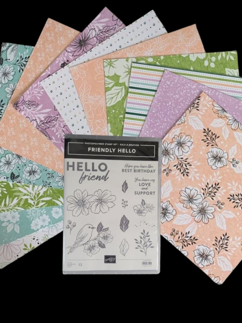 Stampin' Up! Friendly Hello Stamp Set with 12x12 Designer Series Paper DSP